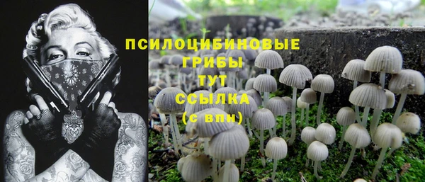 мяу мяу мука Алзамай