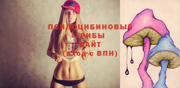 дживик Алексеевка