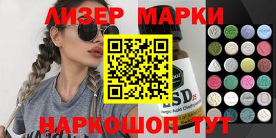 СК Новодвинск