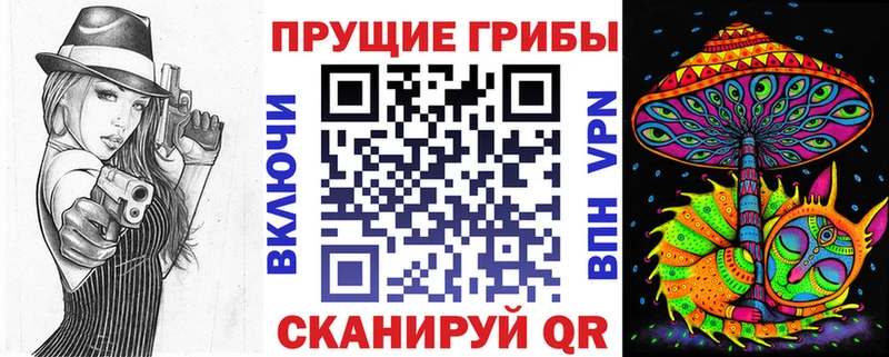 где можно купить наркотик  Удомля  Галлюциногенные грибы GOLDEN TEACHER 