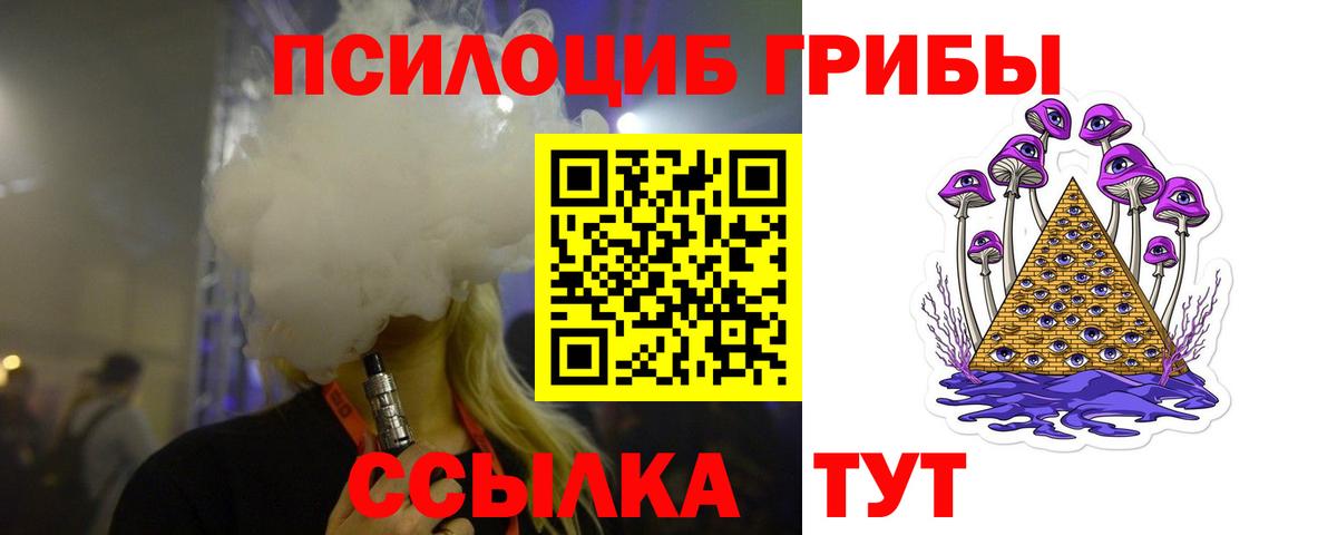 Псилоцибиновые грибы ЛСД  Вход с VPN  купить наркотики сайты  Удомля 