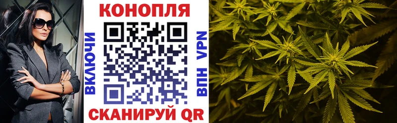 купить наркотик  Удомля  Бошки марихуана ГИДРОПОН 